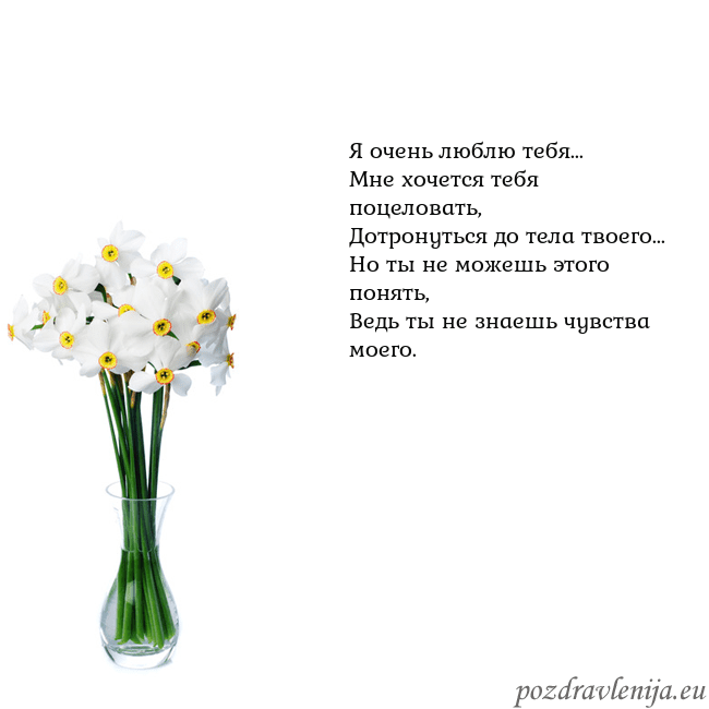 Открытка с нарциссами Я очень люблю тебя...
Мне хочется тебя поцеловать, Открытка с нарциссами