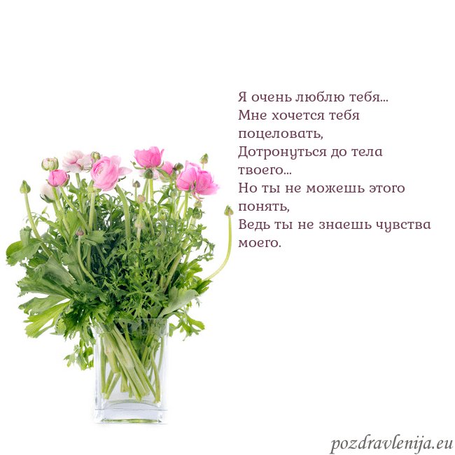 Открытка с цветами в вазе Я очень люблю тебя...
Мне хочется тебя поцеловать, Открытка с цветами в вазе