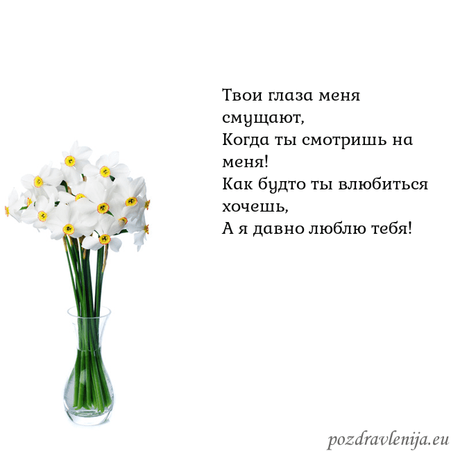 Открытка с нарциссами Твои глаза меня смущают,
Когда ты смотришь на меня Открытка с нарциссами