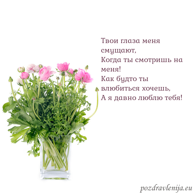 Открытка с цветами в вазе Твои глаза меня смущают,
Когда ты смотришь на меня Открытка с цветами в вазе