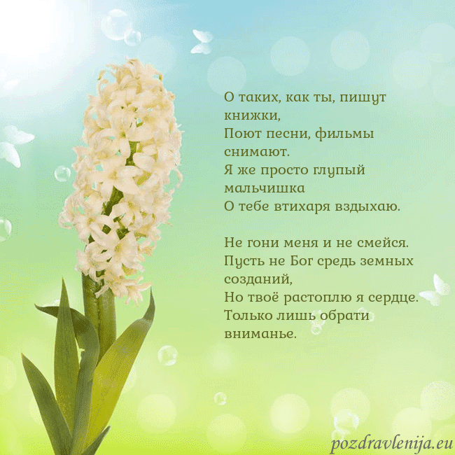 Открытка с гиацинтом О таких, как ты, пишут книжки,
Поют песни, фильмы Открытка с гиацинтом
