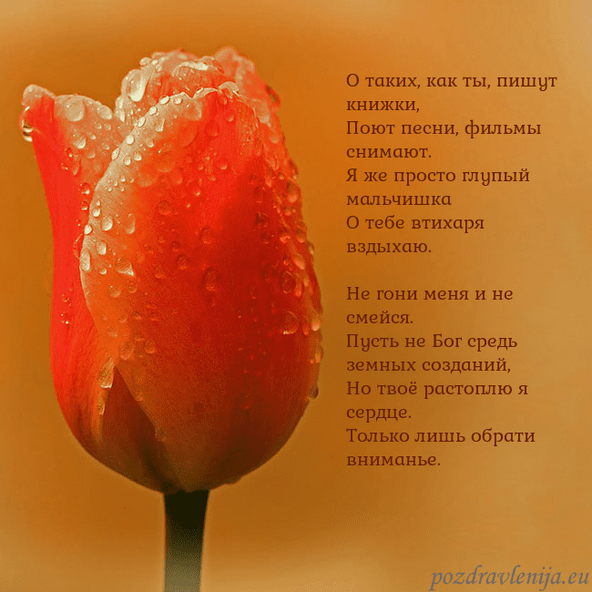 Открытка с красным тюльпаном О таких, как ты, пишут книжки,
Поют песни, фильмы Открытка с красным тюльпаном