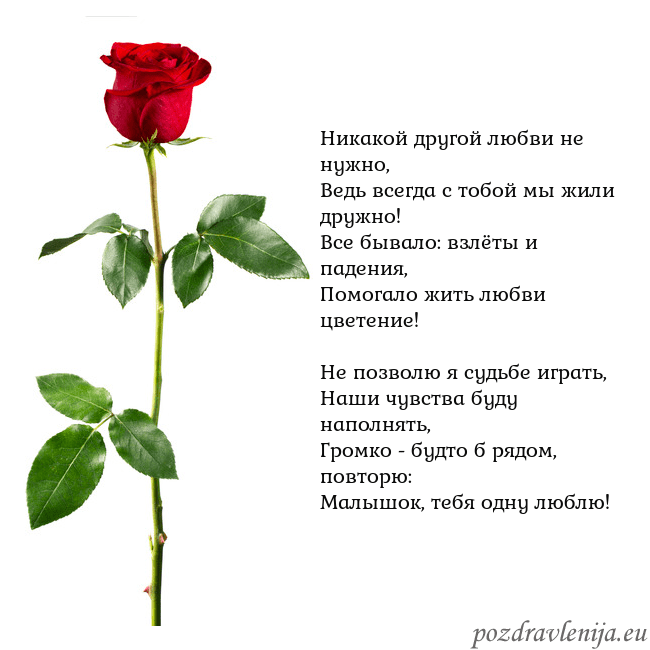 Открытка с красной розой Никакой другой любви не нужно,
Ведь всегда с тобой Открытка с красной розой