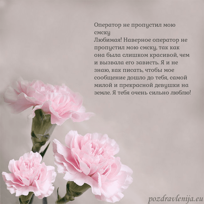 Открытка с розовыми гвоздиками Оператор не пропустил мою смску
Любимая! Наверное Открытка с розовыми гвоздиками