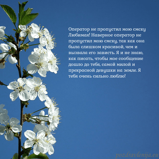 Открытка с весенними цветами Оператор не пропустил мою смску
Любимая! Наверное Открытка с весенними цветами