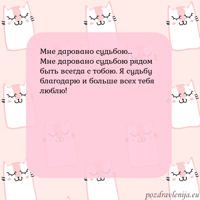 Розовая открытка с забавными кошками Мне даровано судьбою...
Мне даровано судьбою рядом Розовая открытка с забавными кошками