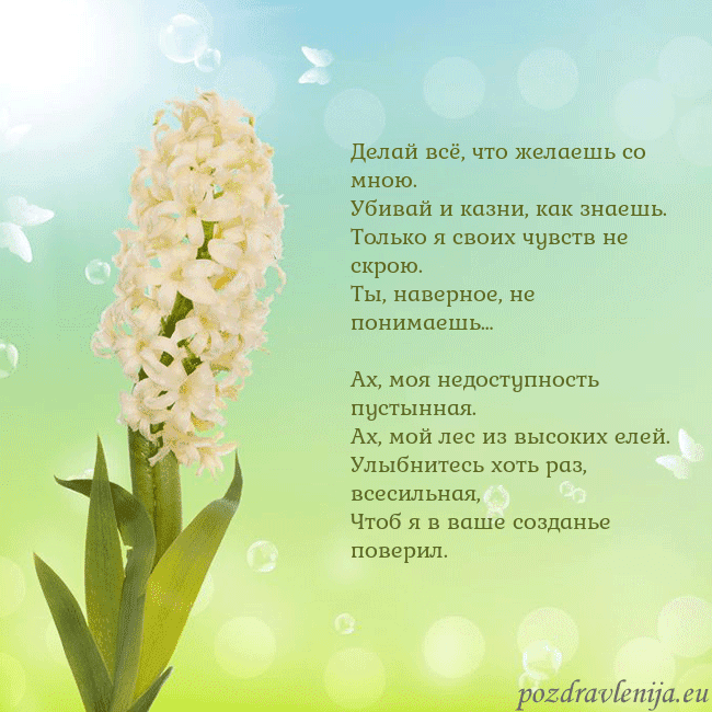 Открытка с гиацинтом Делай всё, что желаешь со мною.
Убивай и казни, ка Открытка с гиацинтом