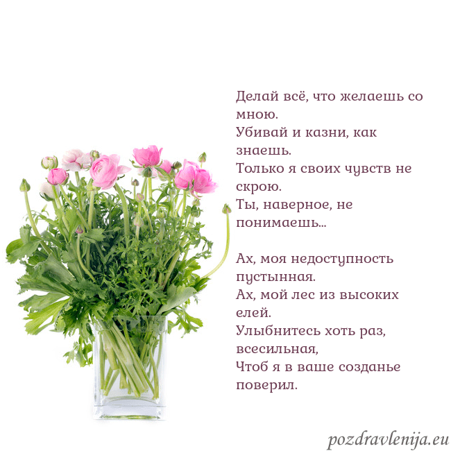 Открытка с цветами в вазе Делай всё, что желаешь со мною.
Убивай и казни, ка Открытка с цветами в вазе