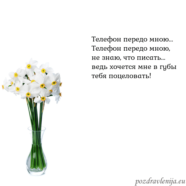 Открытка с нарциссами Телефон передо мною...
Телефон передо мною, не зна Открытка с нарциссами