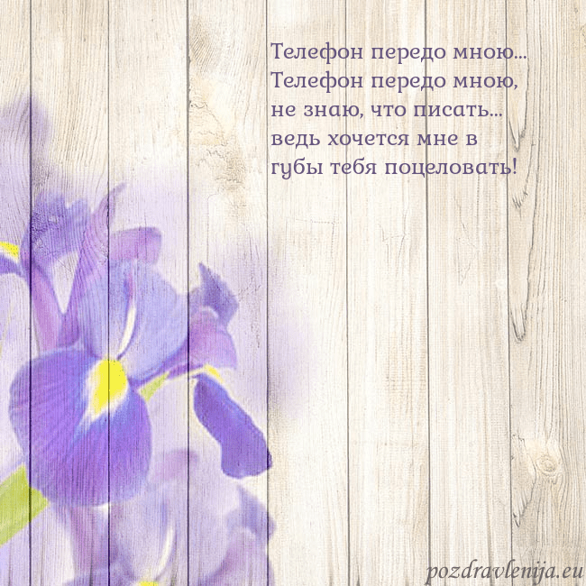 Открытка с ирисами Телефон передо мною...
Телефон передо мною, не зна Открытка с ирисами