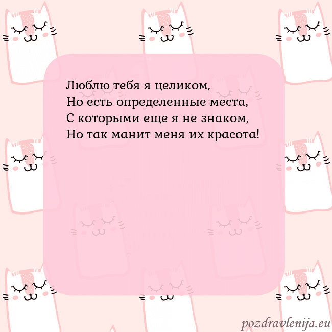 Розовая открытка с забавными кошками Люблю тебя я целиком,
Но есть определенные места,
Розовая открытка с забавными кошками