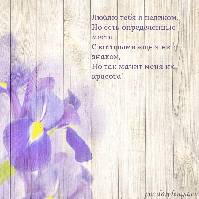 Открытка с ирисами Люблю тебя я целиком,
Но есть определенные места,
Открытка с ирисами
