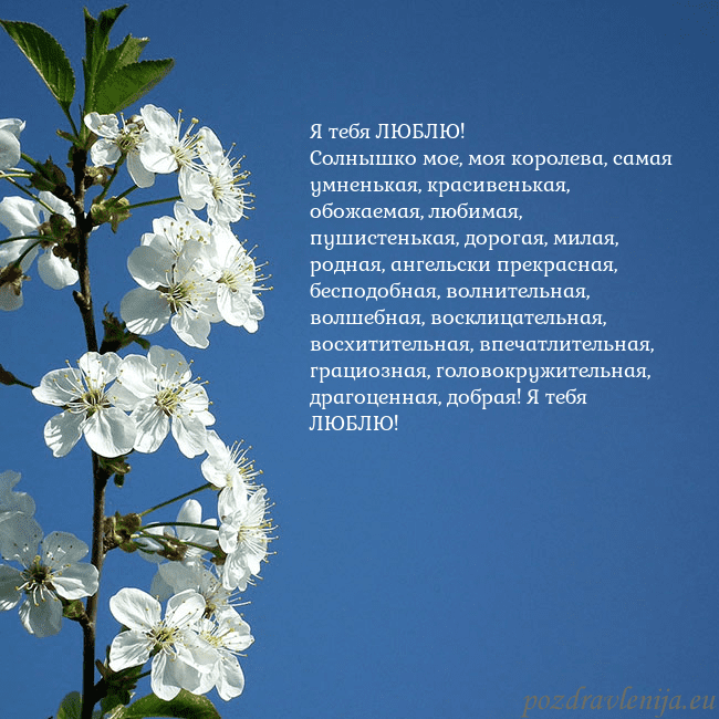 Открытка с весенними цветами Я тебя ЛЮБЛЮ!
Солнышко мое, моя королева, самая ум Открытка с весенними цветами