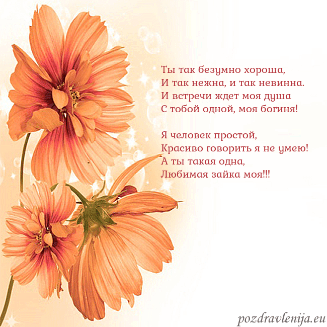 Открытка с оранжевыми цветами Ты так безумно хороша,
И так нежна, и так невинна. Открытка с оранжевыми цветами