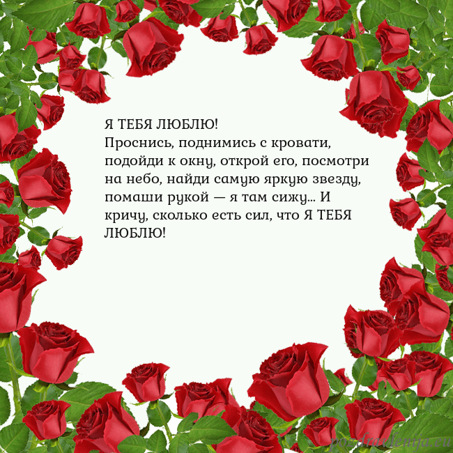 Открытка с красными розами Я ТЕБЯ ЛЮБЛЮ!
Проснись, поднимись с кровати, подой Открытка с красными розами