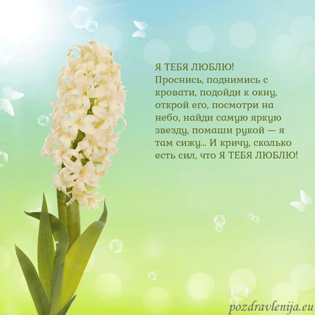 Открытка с гиацинтом Я ТЕБЯ ЛЮБЛЮ!
Проснись, поднимись с кровати, подой Открытка с гиацинтом