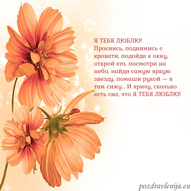 Открытка с оранжевыми цветами Я ТЕБЯ ЛЮБЛЮ!
Проснись, поднимись с кровати, подой Открытка с оранжевыми цветами
