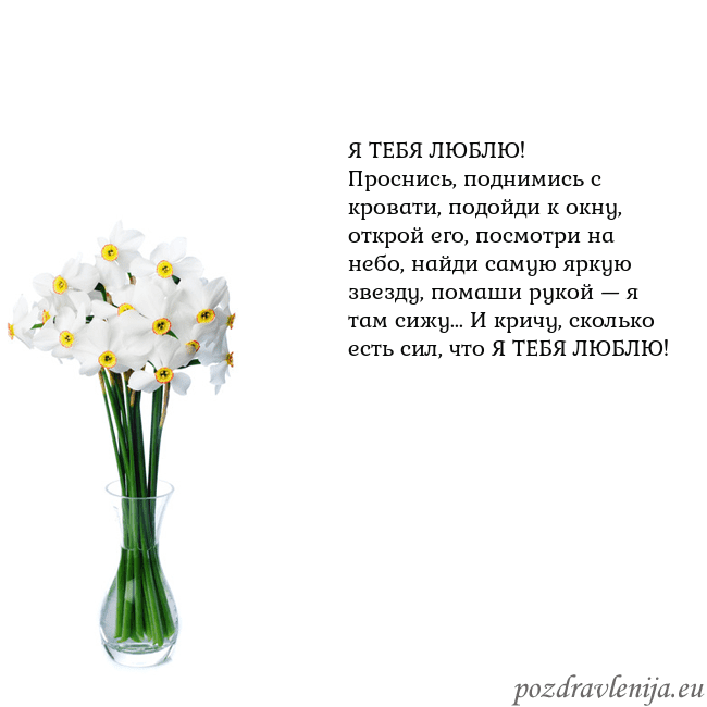 Открытка с нарциссами Я ТЕБЯ ЛЮБЛЮ!
Проснись, поднимись с кровати, подой Открытка с нарциссами