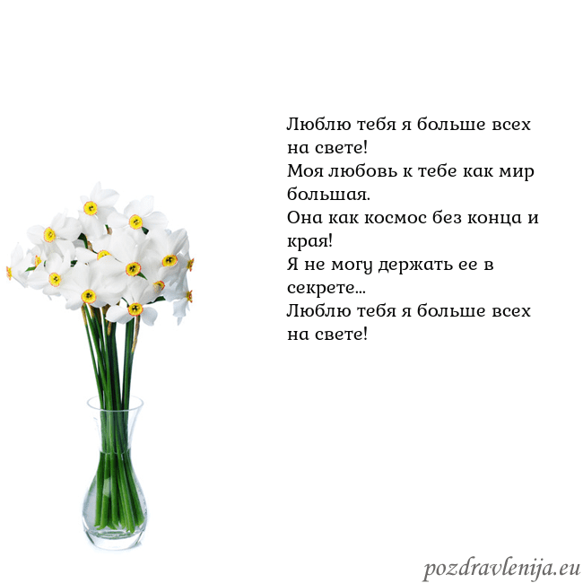 Открытка с нарциссами Люблю тебя я больше всех на свете!
Моя любовь к те Открытка с нарциссами
