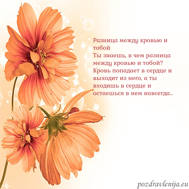 Открытка с оранжевыми цветами Разница между кровью и тобой
Ты знаешь, в чем разн Открытка с оранжевыми цветами