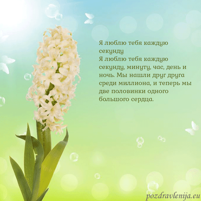 Открытка с гиацинтом Я люблю тебя каждую секунду
Я люблю тебя каждую се Открытка с гиацинтом