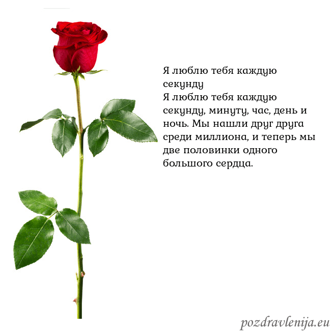 Открытка с красной розой Я люблю тебя каждую секунду
Я люблю тебя каждую се Открытка с красной розой