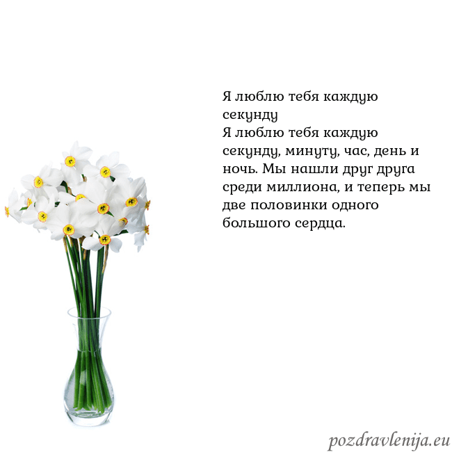 Открытка с нарциссами Я люблю тебя каждую секунду
Я люблю тебя каждую се Открытка с нарциссами