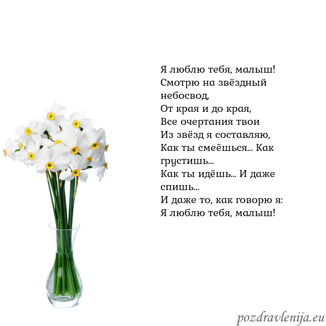 Открытка с нарциссами Я люблю тебя, малыш!
Смотрю на звёздный небосвод,
Открытка с нарциссами