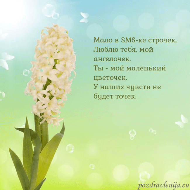 Открытка с гиацинтом Мало в SMS-ке строчек,
Люблю тебя, мой ангелочек.
Открытка с гиацинтом
