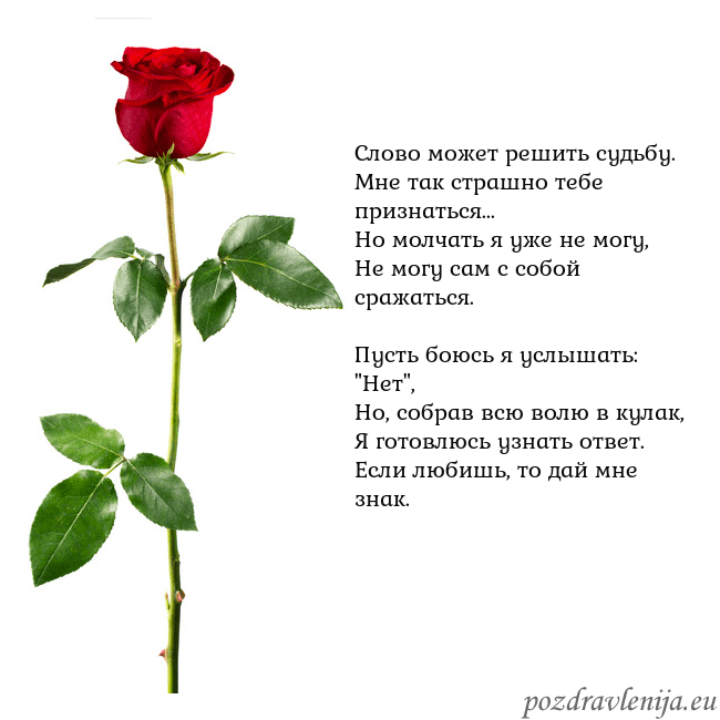 Открытка с красной розой Слово может решить судьбу.
Мне так страшно тебе пр Открытка с красной розой