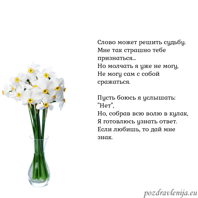Открытка с нарциссами Слово может решить судьбу.
Мне так страшно тебе пр Открытка с нарциссами