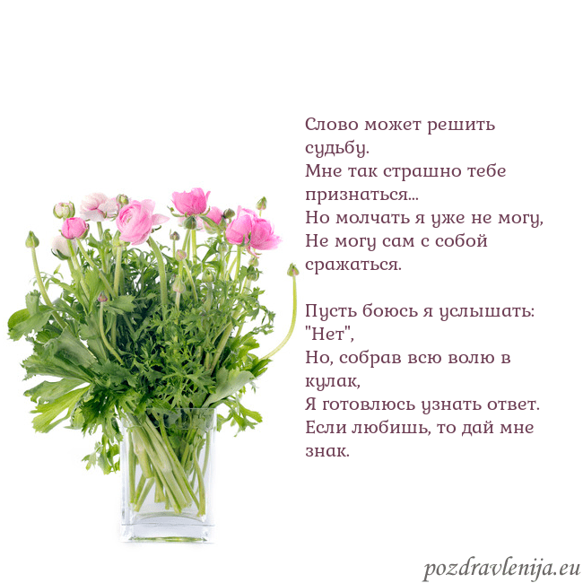 Открытка с цветами в вазе Слово может решить судьбу.
Мне так страшно тебе пр Открытка с цветами в вазе