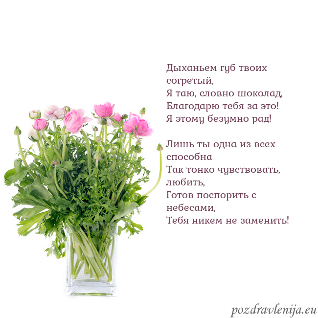 Открытка с цветами в вазе Дыханьем губ твоих согретый,
Я таю, словно шокола Открытка с цветами в вазе