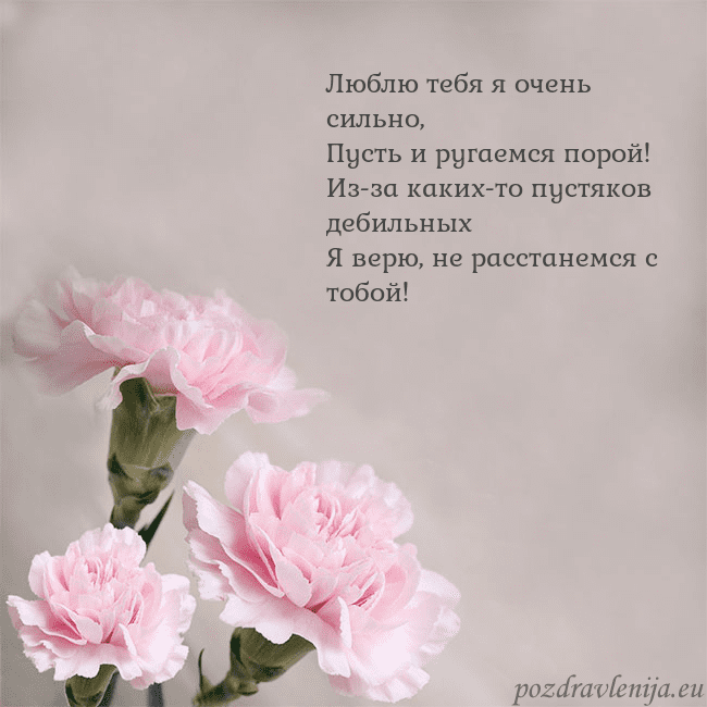 Открытка с розовыми гвоздиками Люблю тебя я очень сильно,
Пусть и ругаемся порой! Открытка с розовыми гвоздиками
