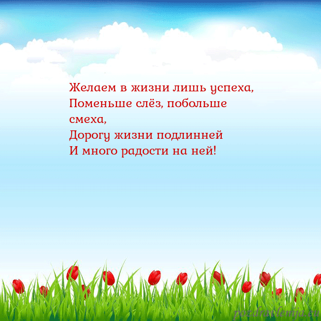 Открытка с тюльпанами