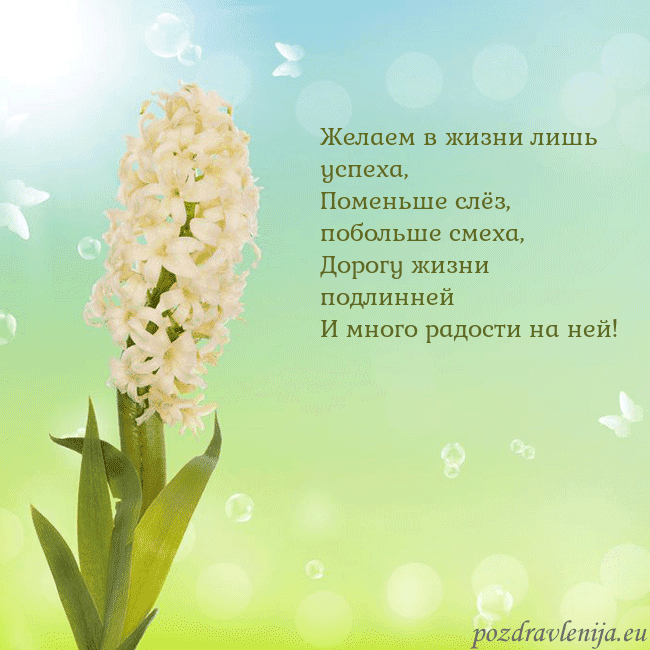 Открытка с гиацинтом