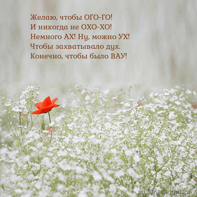 Электронная открытка с белыми цветами