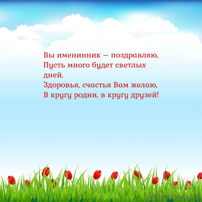 Открытка с тюльпанами