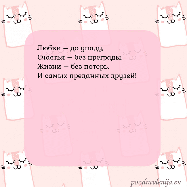 Розовая открытка с забавными кошками