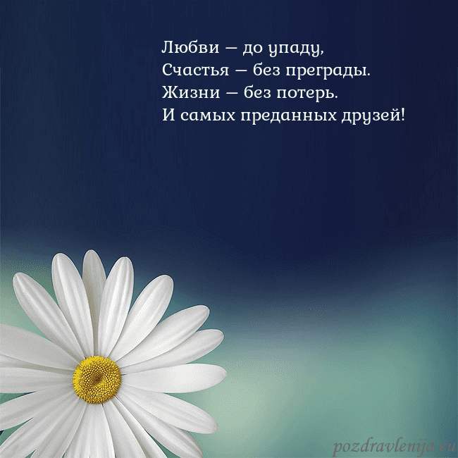 Открытка с большой ромашкой