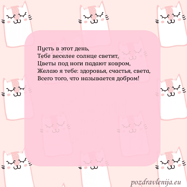 Розовая открытка с забавными кошками
