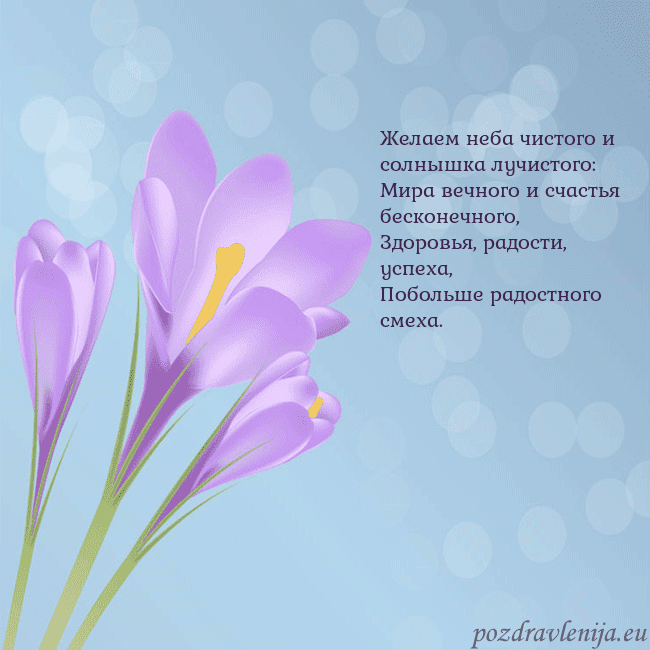 Открытка с крокусом