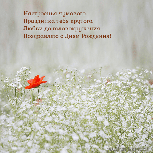 Электронная открытка с белыми цветами