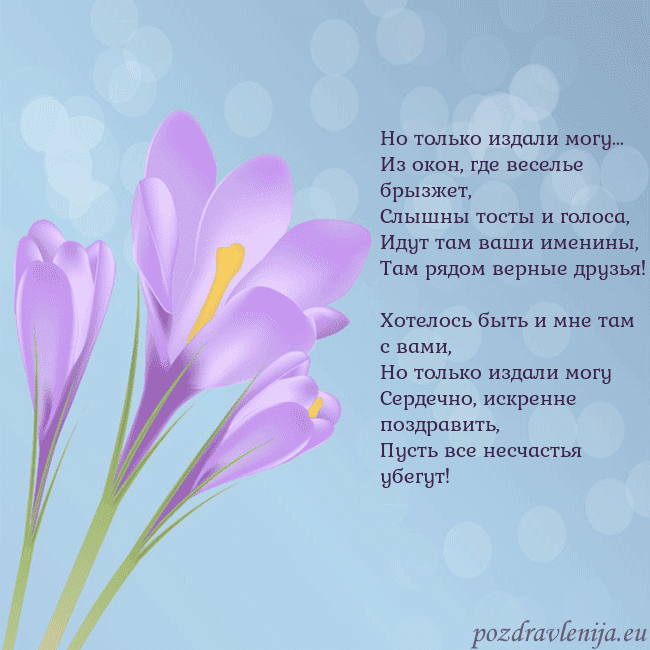 Открытка с крокусом