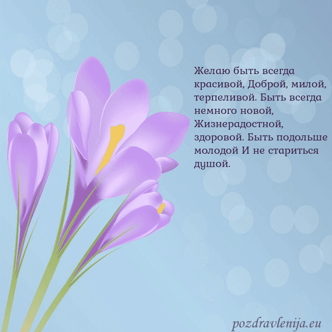 Открытка с крокусом