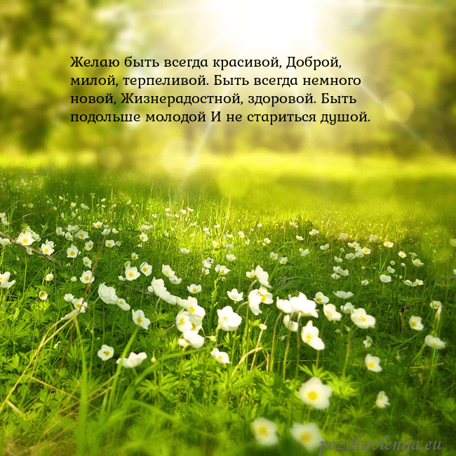 Электронная открытка с утопающим в солнечном свете лугом